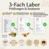 Golden Elements – 3-Fach Laborprüfungen bei Nahrungsergänzungsmitteln: Rohstoff-, Wirkstoff- und Schwermetallanalyse durch unabhängige Labore, zertifiziert nach GMP, HACCP, ISO, Halal und Vegan.