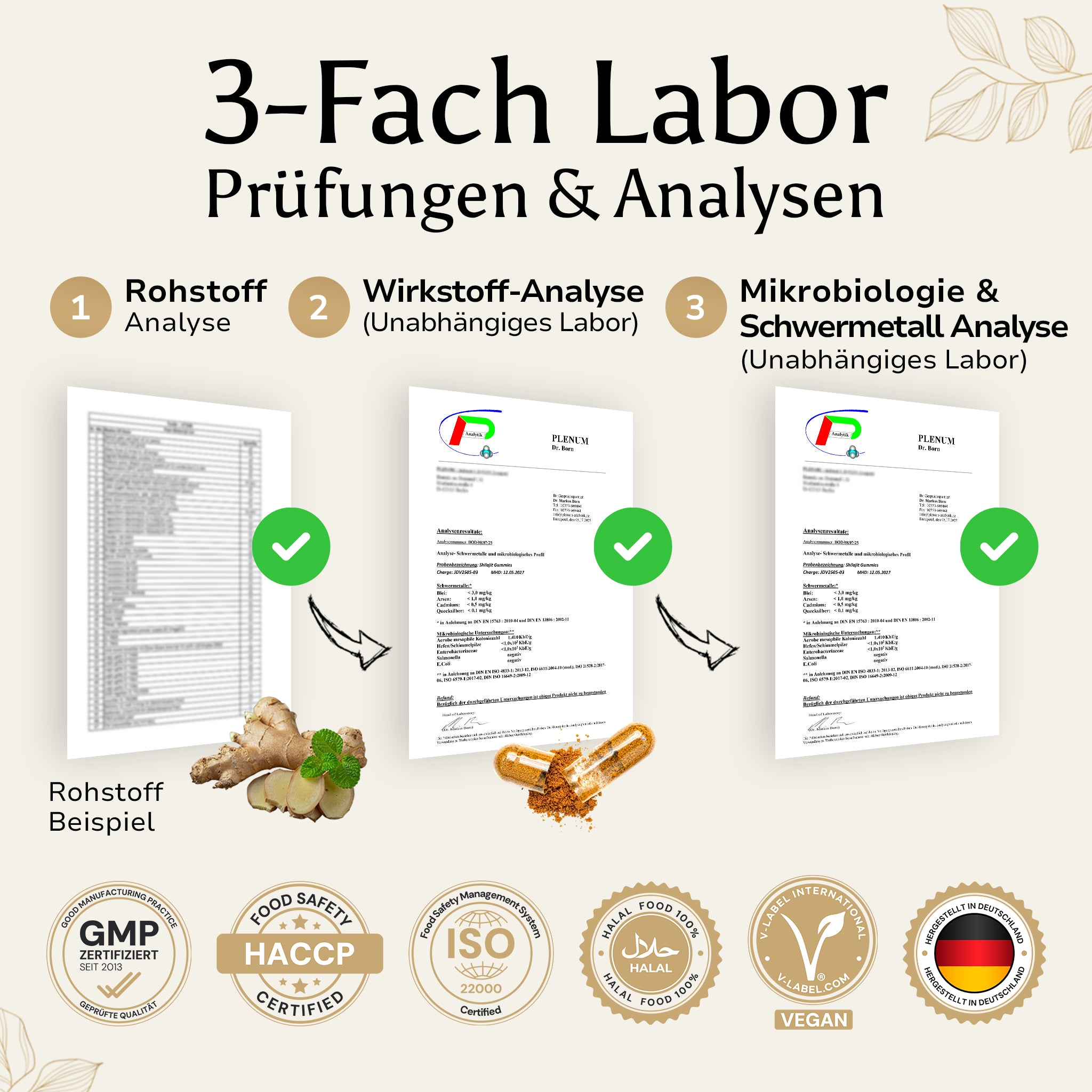 Golden Elements Eisen Tabletten – 3-fach laborgeprüfte Qualität mit Analysezertifikaten und Reinheitsgarantie