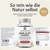 Shilajit Gummies: Zutaten, Verzehrempfehlung und Nährwertangaben
